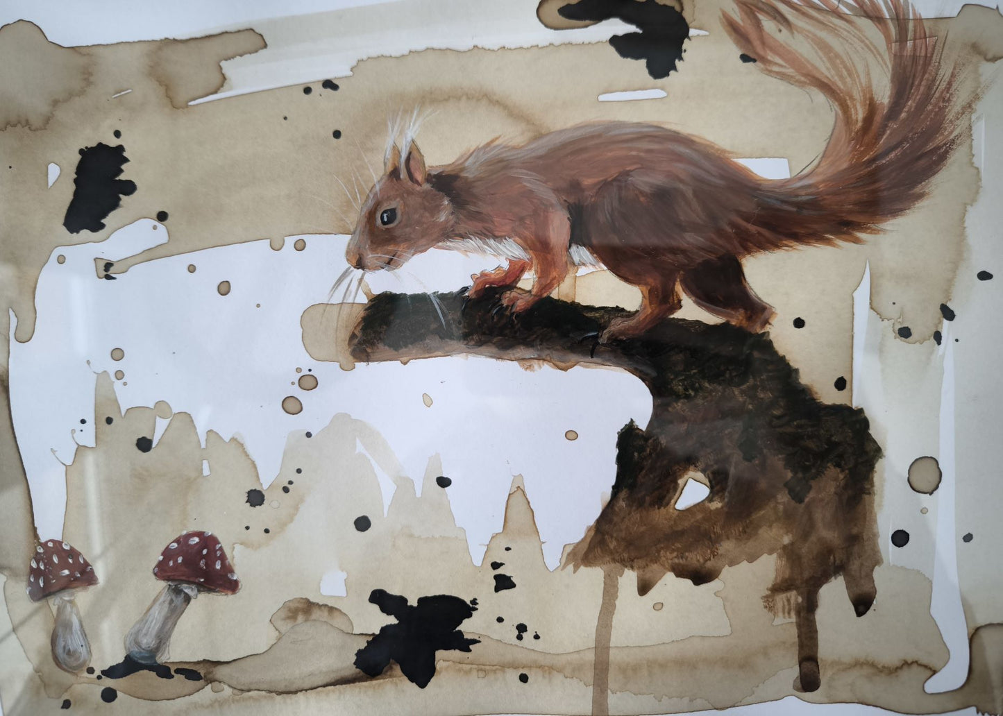 Eichhörnchen auf der Suche