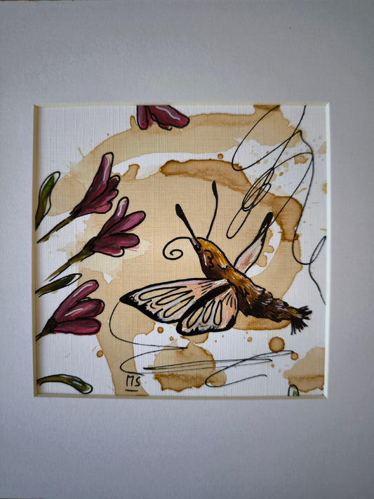 Taubenschwänzchen auf der Suche