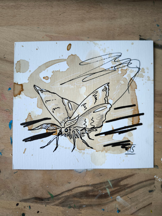 Motte in schwarz weiß