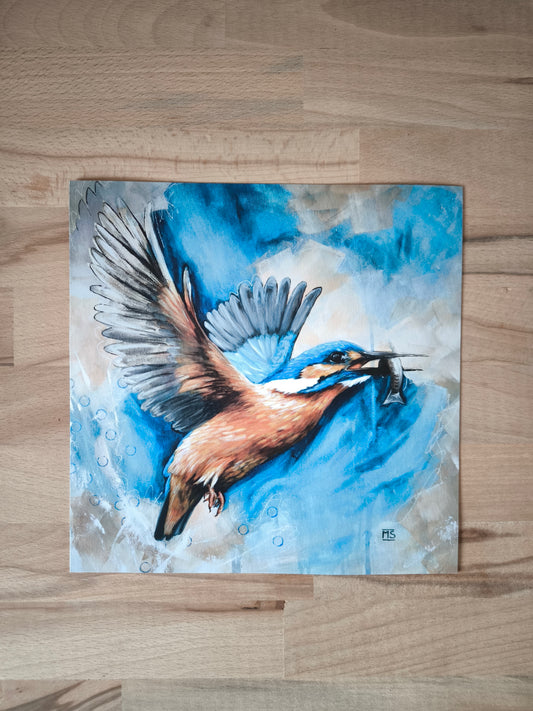 Posterdruck Eisvogel