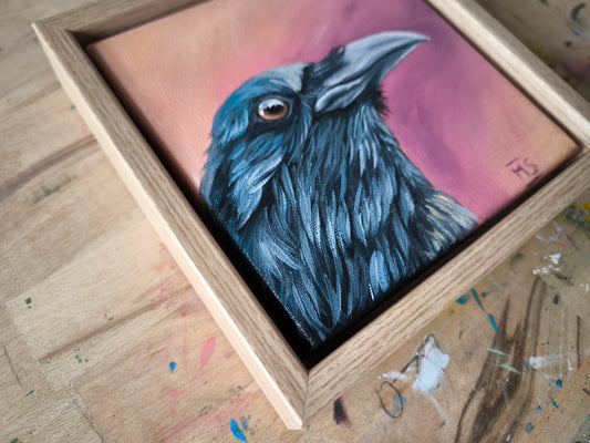 Der Rabe hat bunte Gedanken