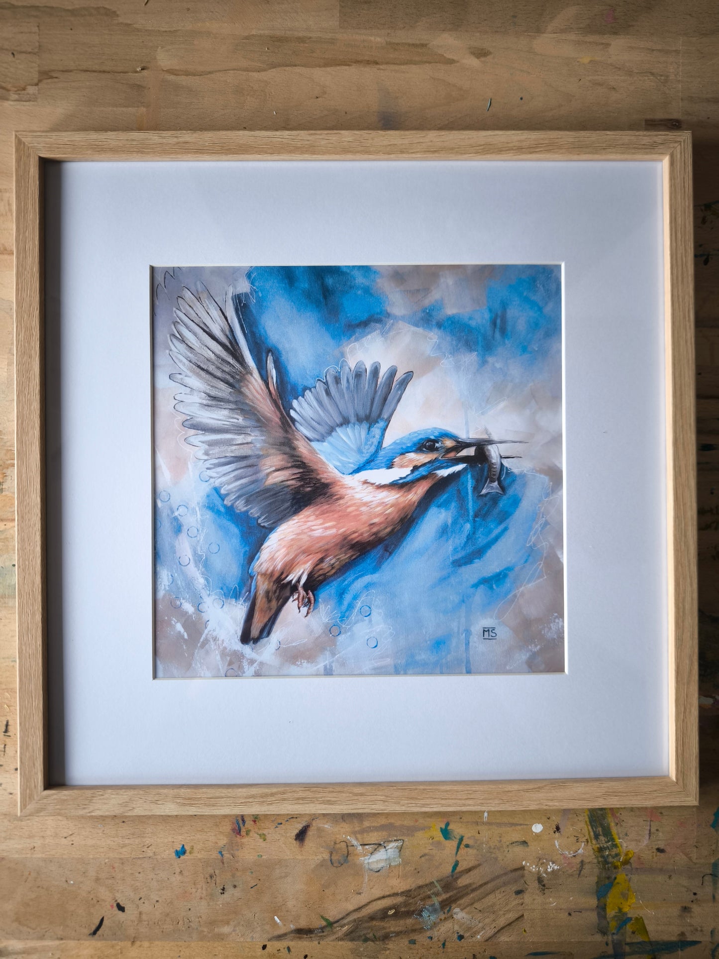 Posterdruck Eisvogel