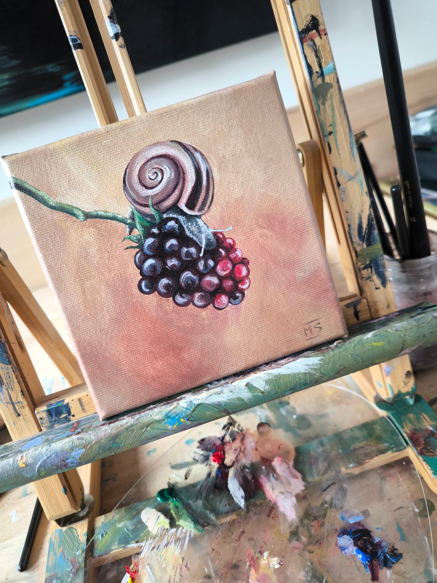 Schnecki´s Brombeere