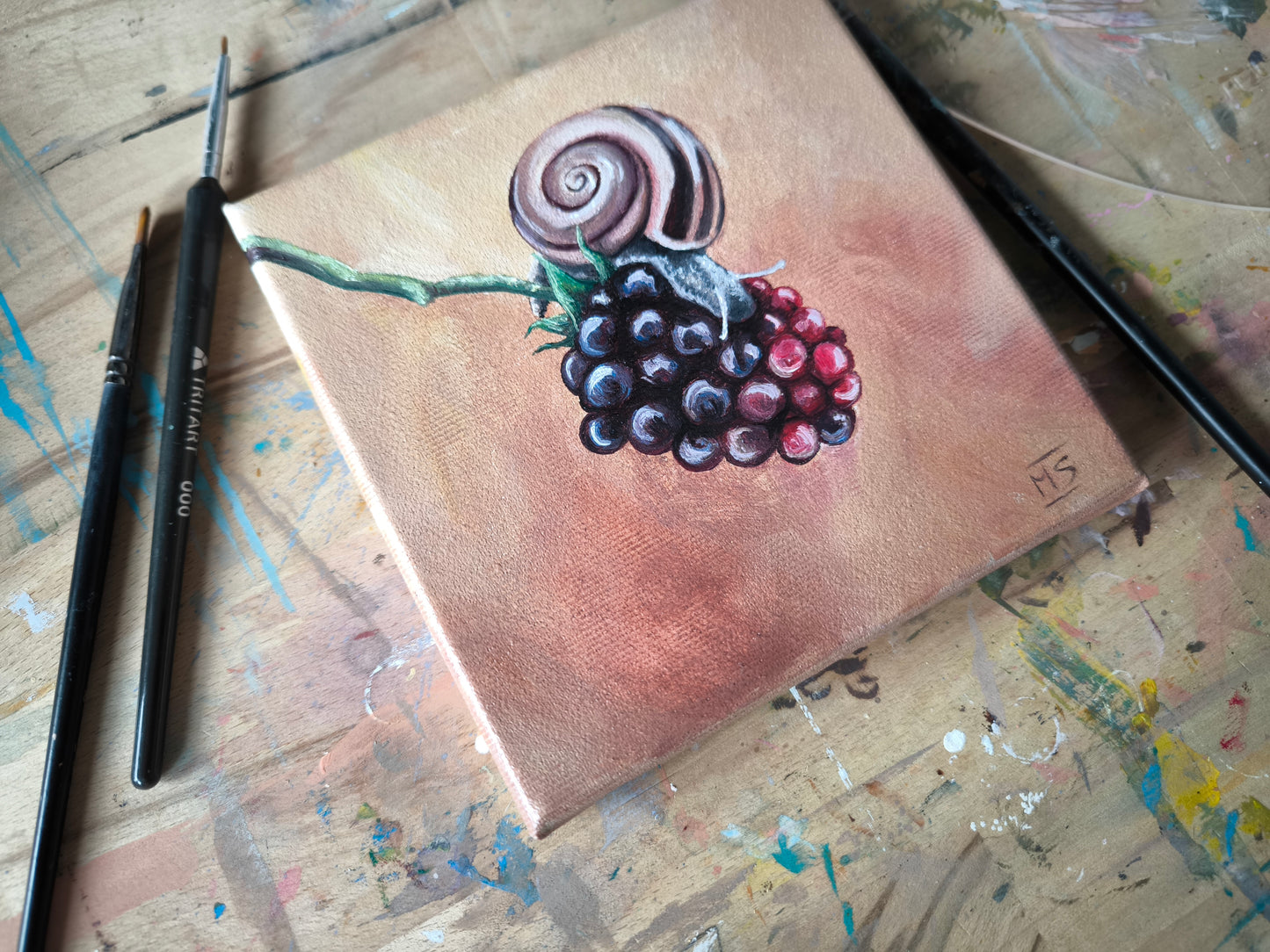 Schnecki´s Brombeere