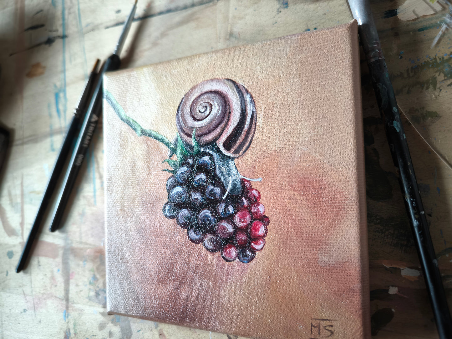 Schnecki´s Brombeere