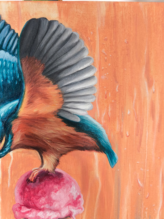 Eisvogel - Ein kurzer Augenblick