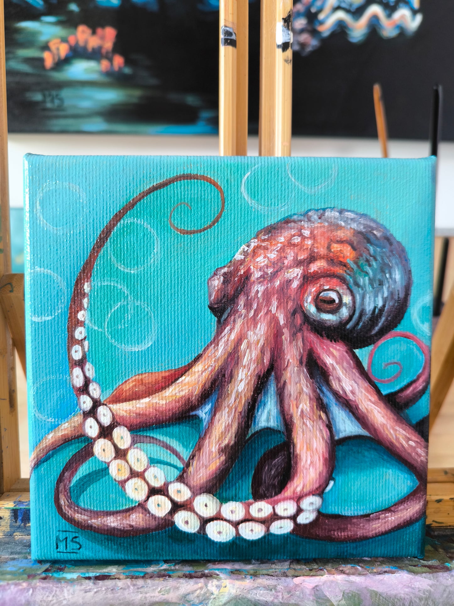 Kleiner Oktopus