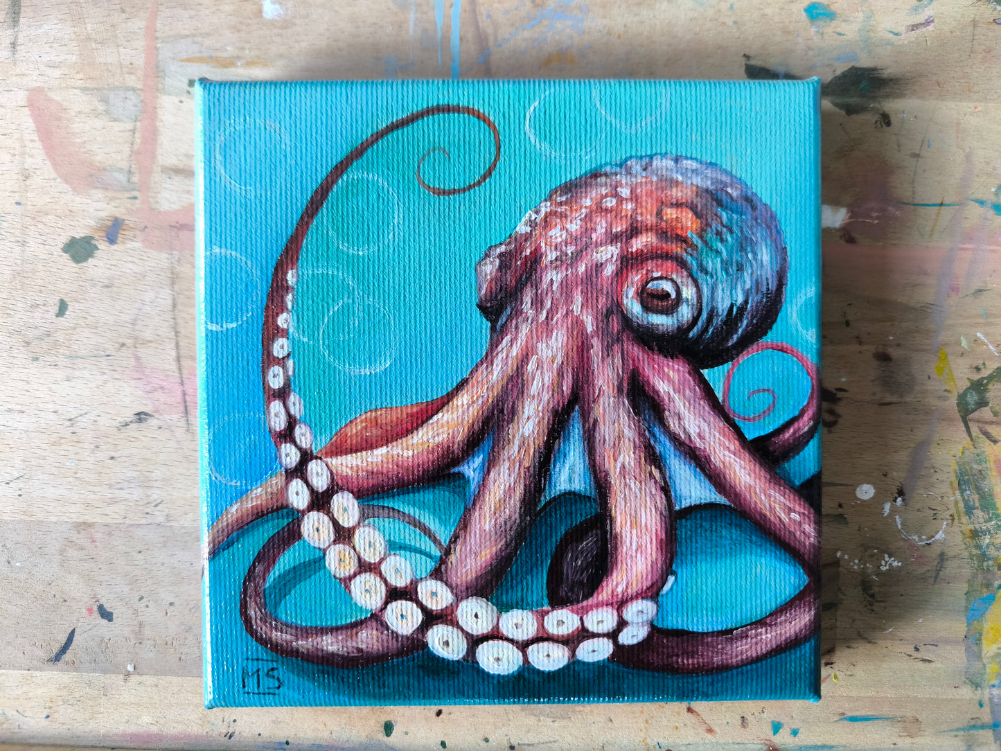 Kleiner Oktopus