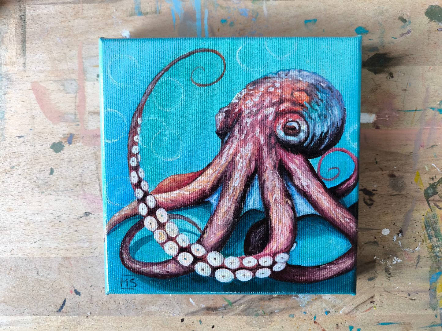 Kleiner Oktopus