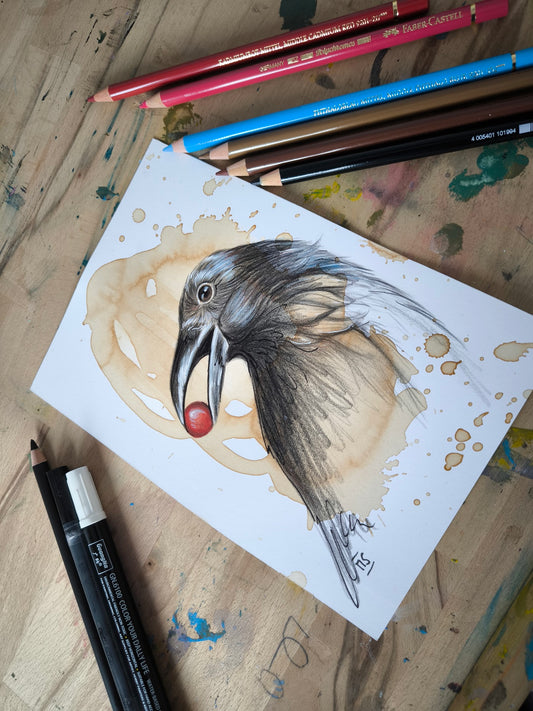 Die Krähe- Ich hab´s gefunden