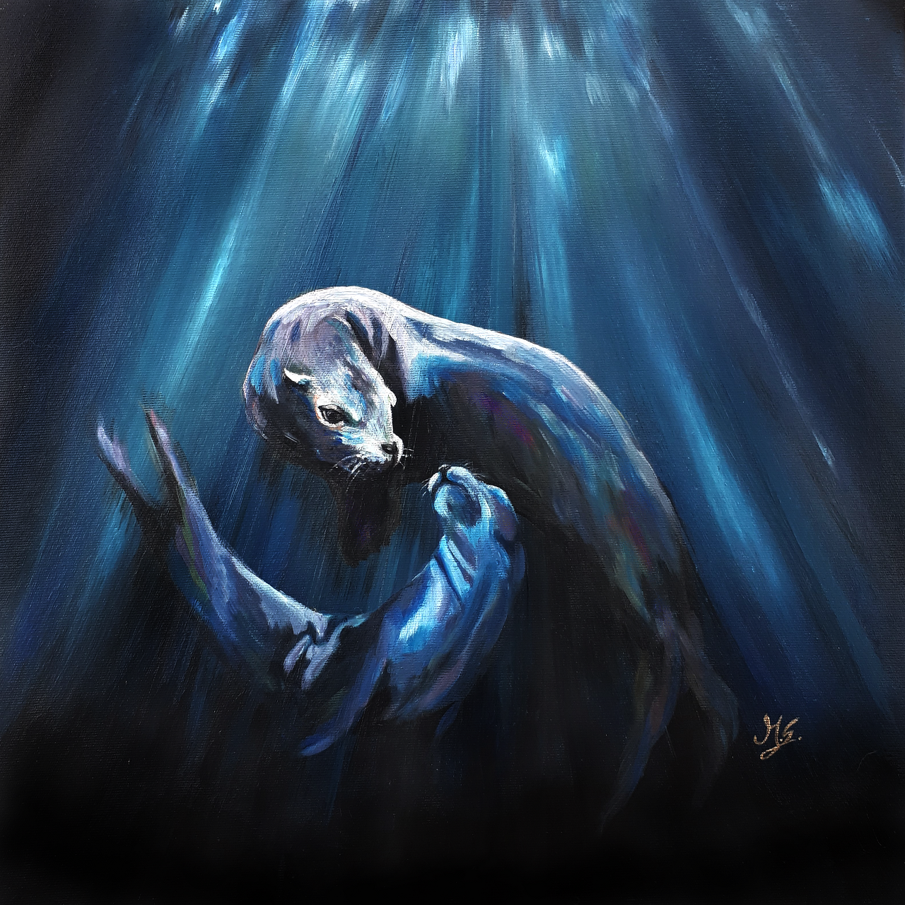 Unterwasserwelt Seehunde