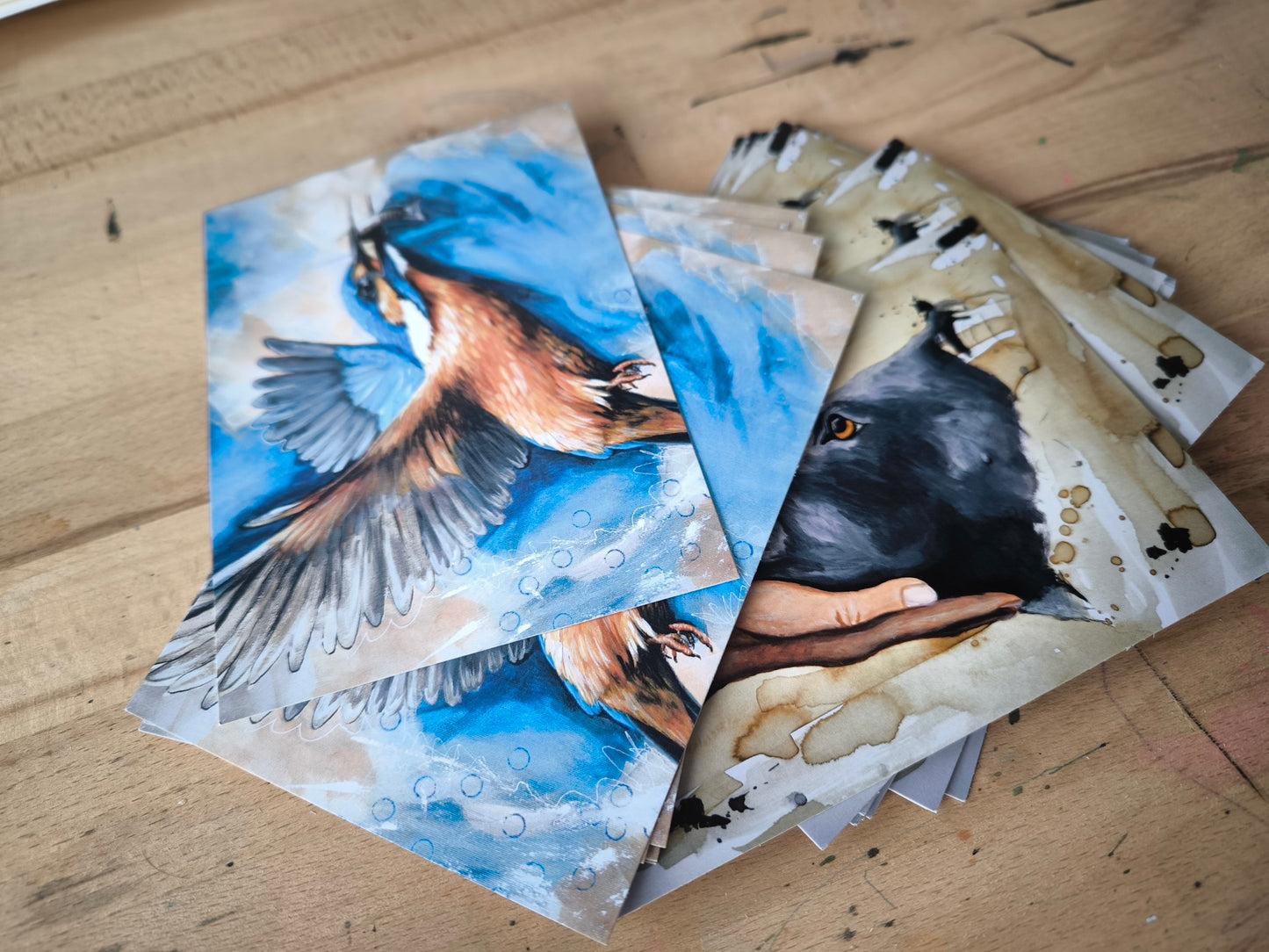 Postkarten Din A6 "Eisvogel"