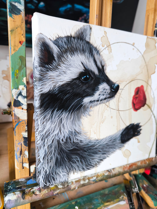 Verträumte Waschbär