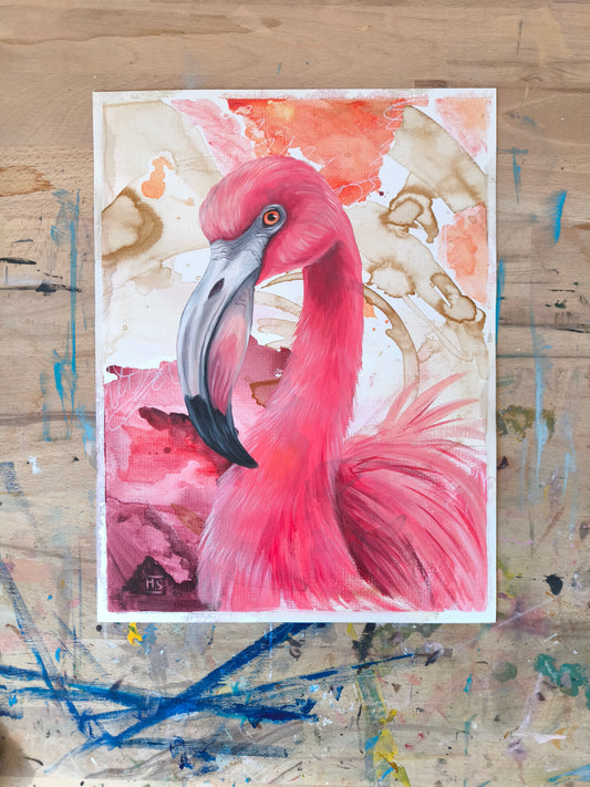 Flamingo