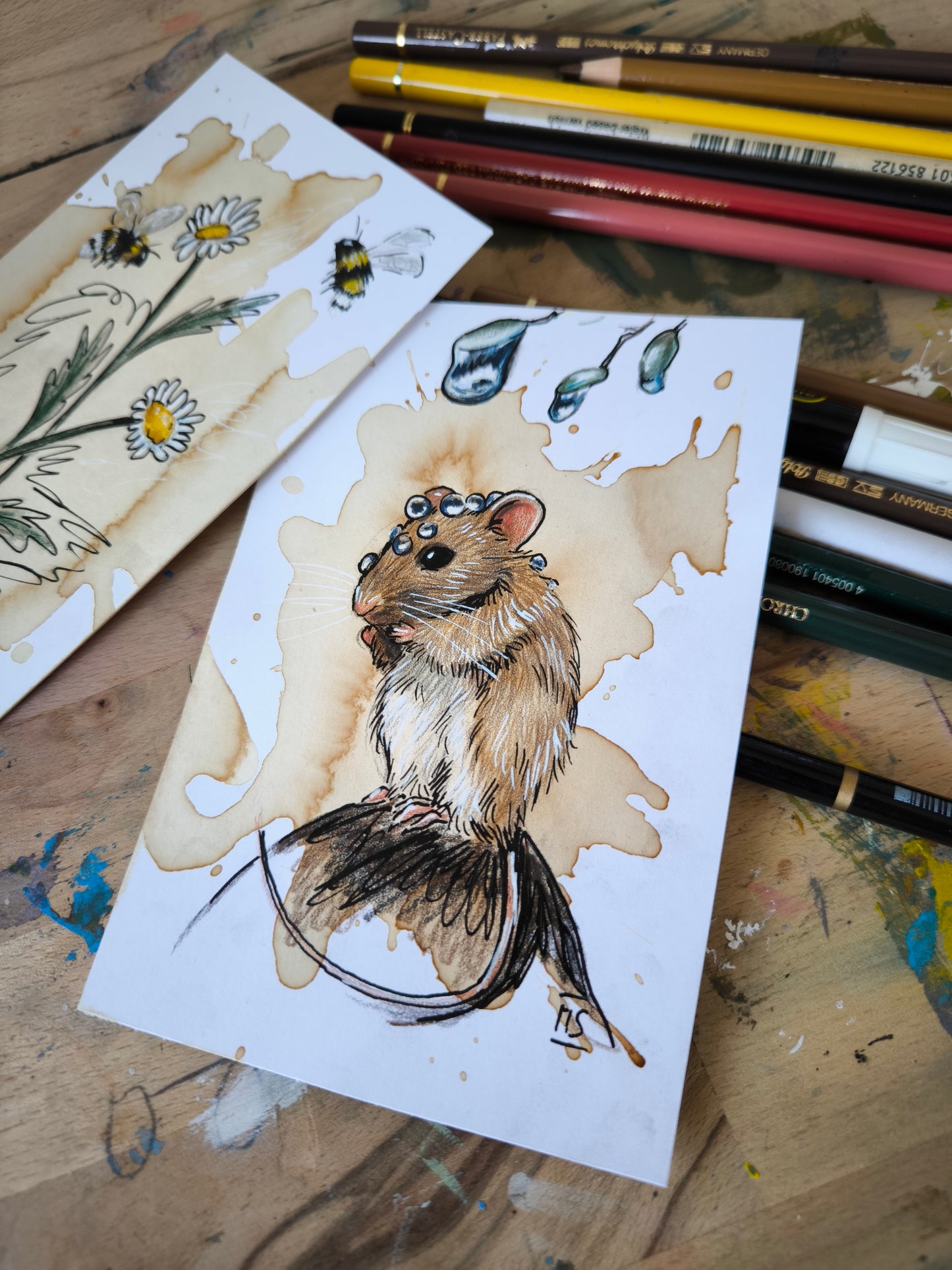 Die Maus ist Nass