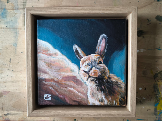 Kleiner Hase