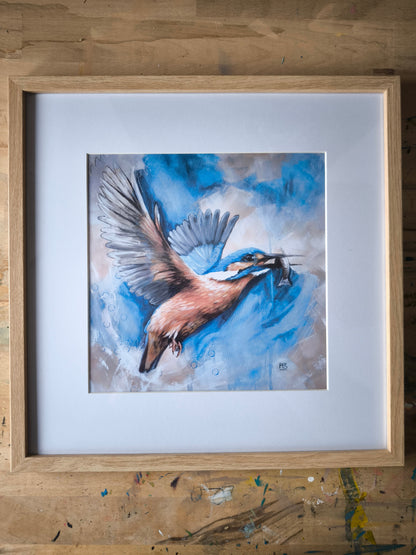 Posterdruck Eisvogel