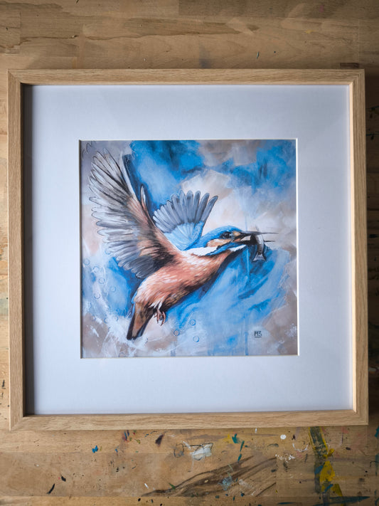Posterdruck Eisvogel