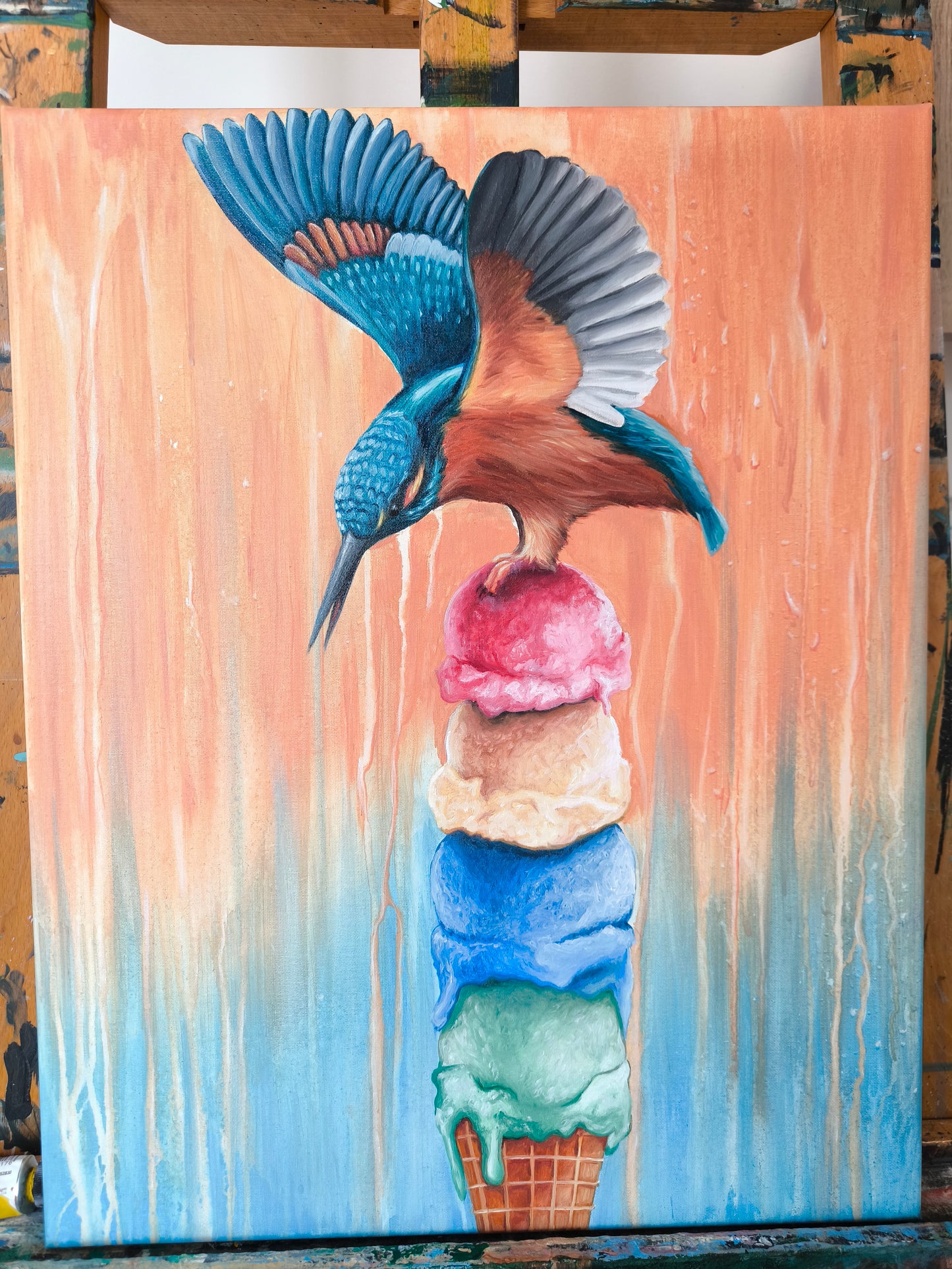 Eisvogel - Ein kurzer Augenblick
