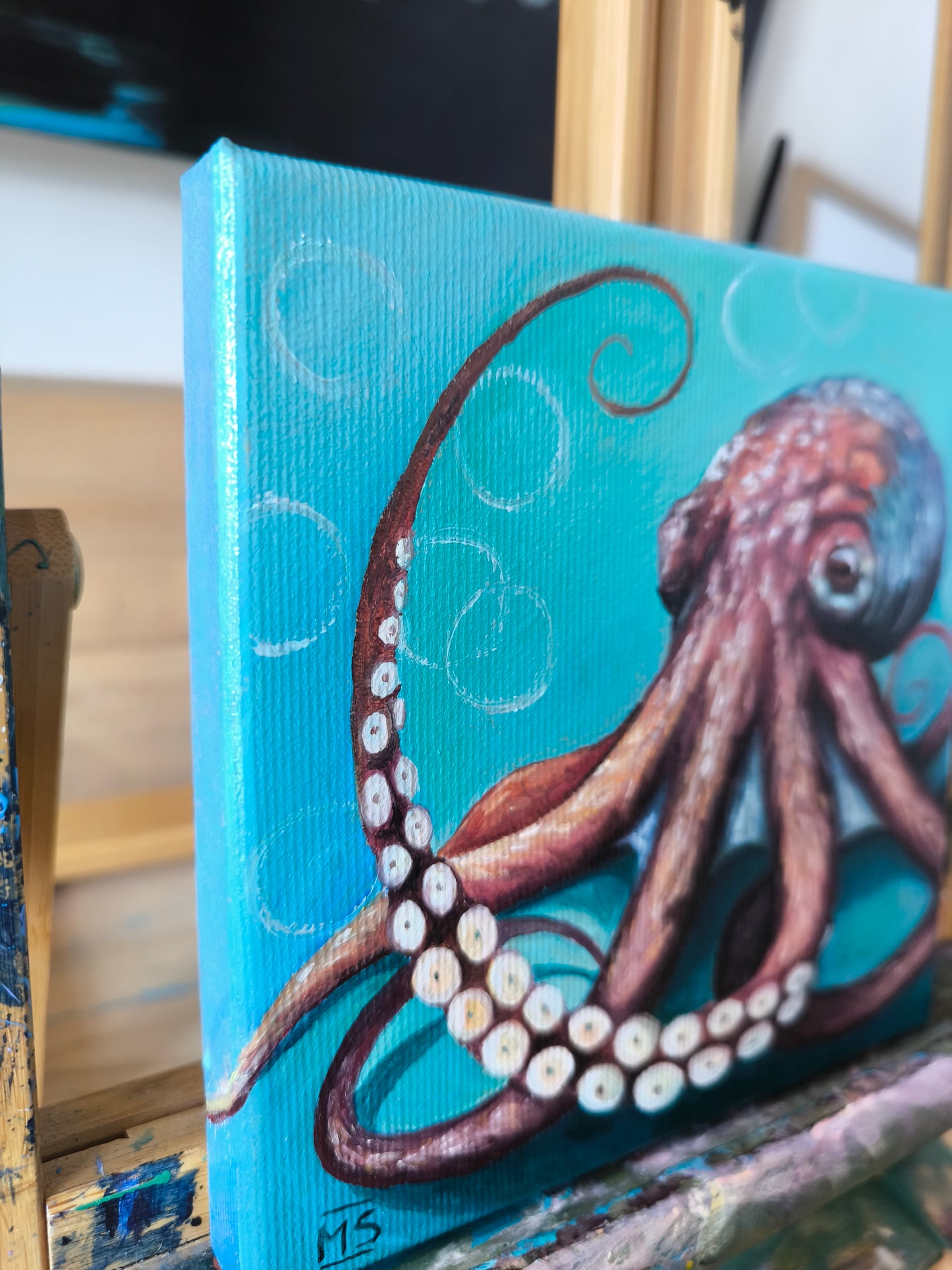 Kleiner Oktopus