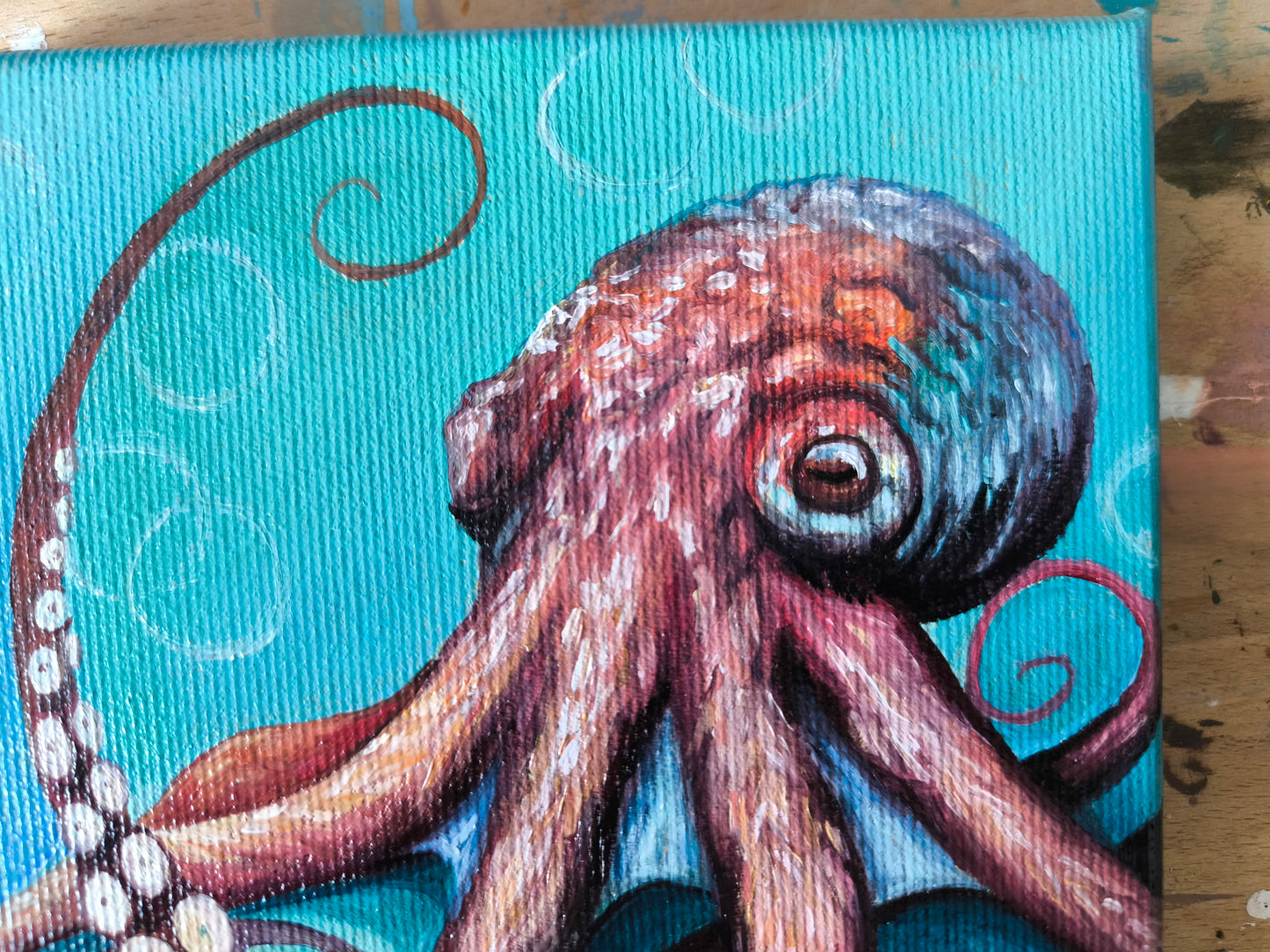 Kleiner Oktopus
