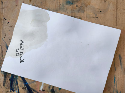 Blaumeise mit Beeren