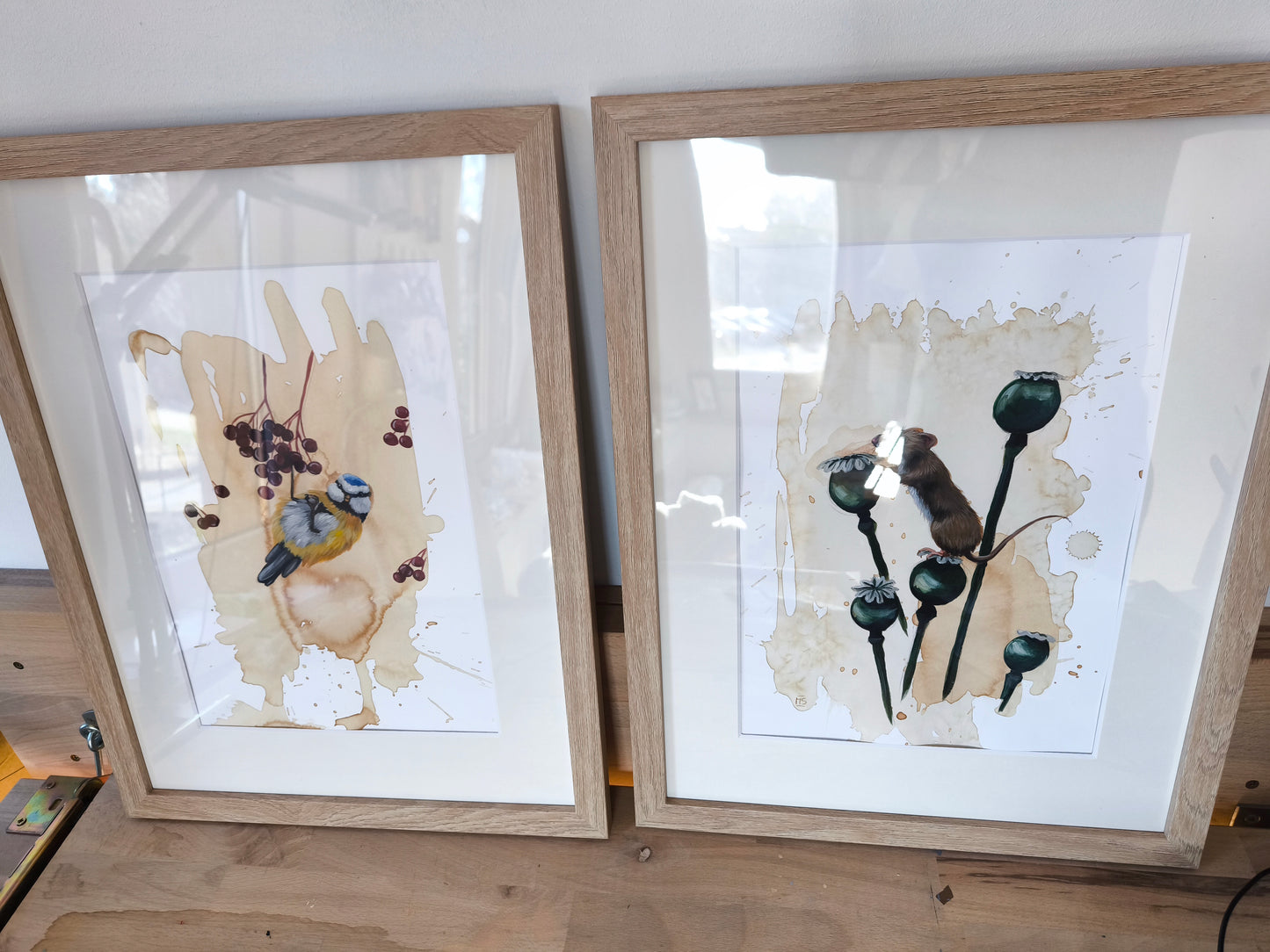 Blaumeise mit Beeren