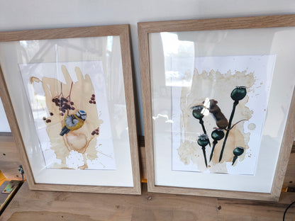 Blaumeise mit Beeren