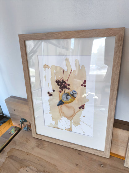 Blaumeise mit Beeren