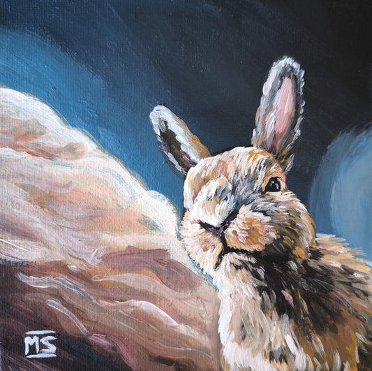 Kleiner Hase