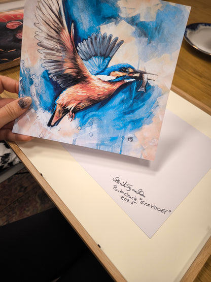 Posterdruck Eisvogel