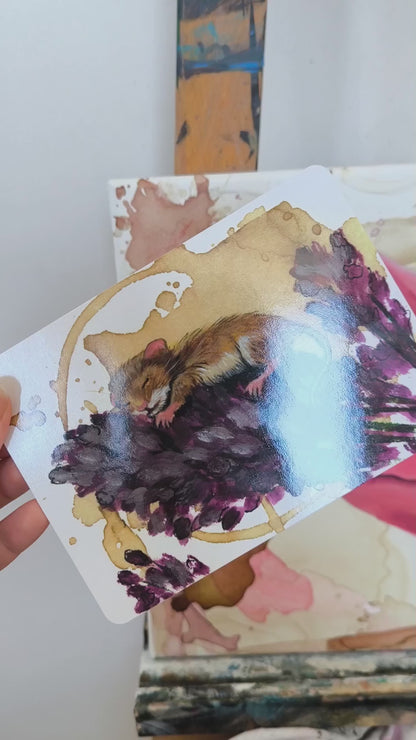 Postkarte "süße Träume"
