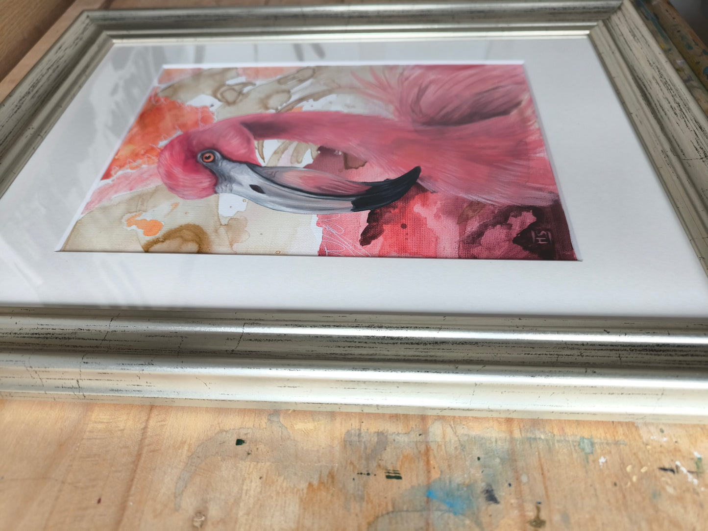 Flamingo