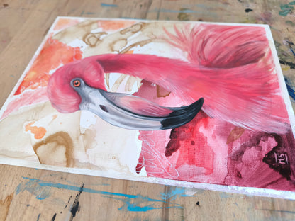 Flamingo
