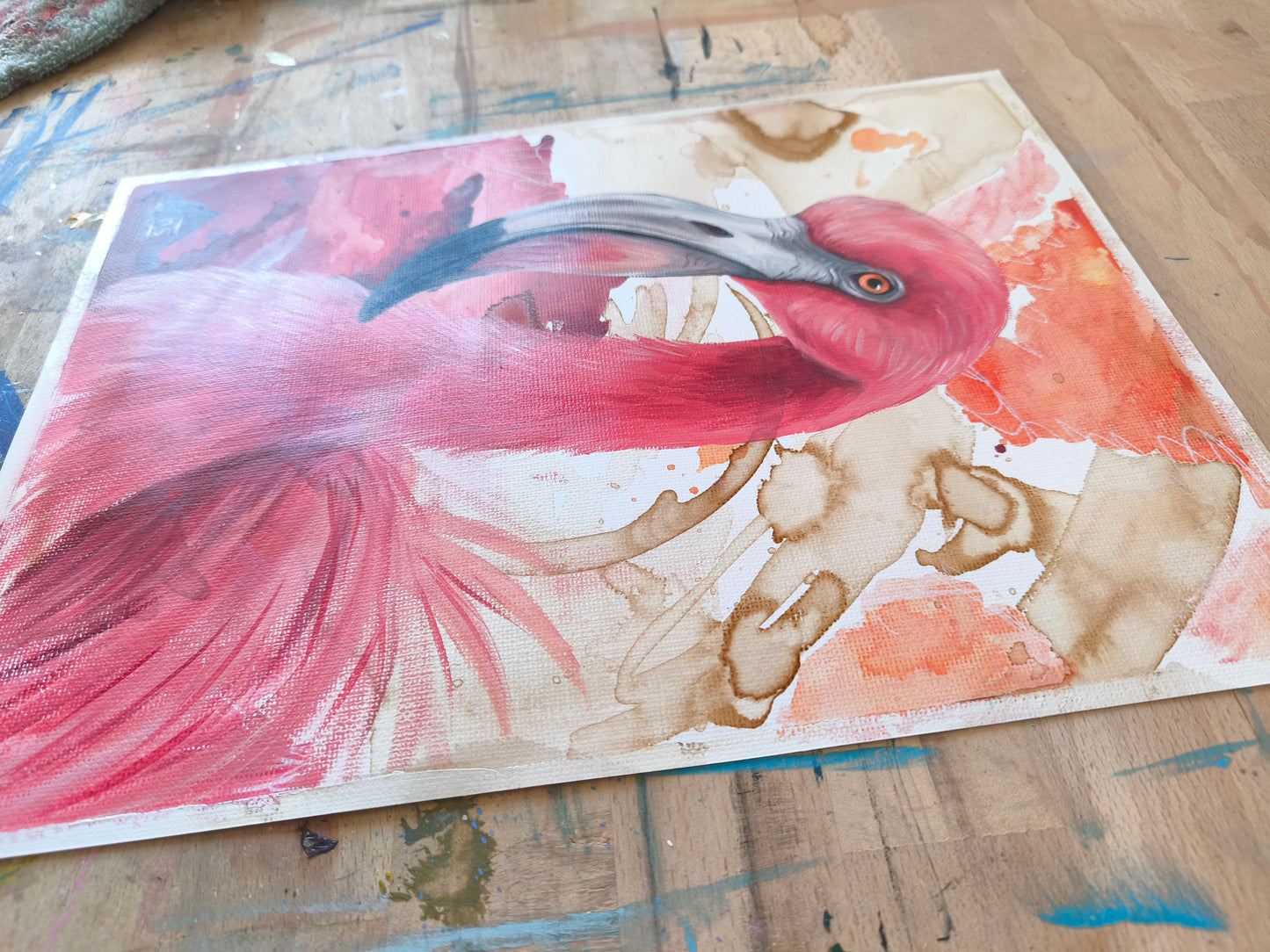Flamingo