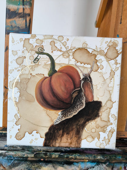 Die Kürbisschnecke