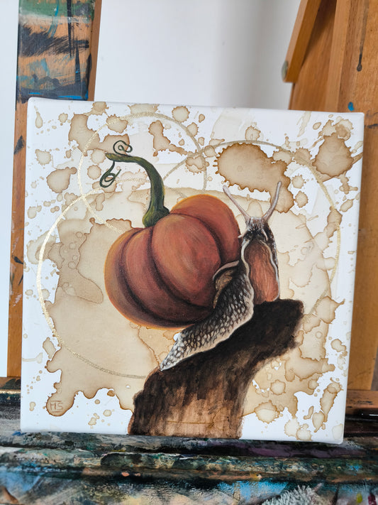 Die Kürbisschnecke