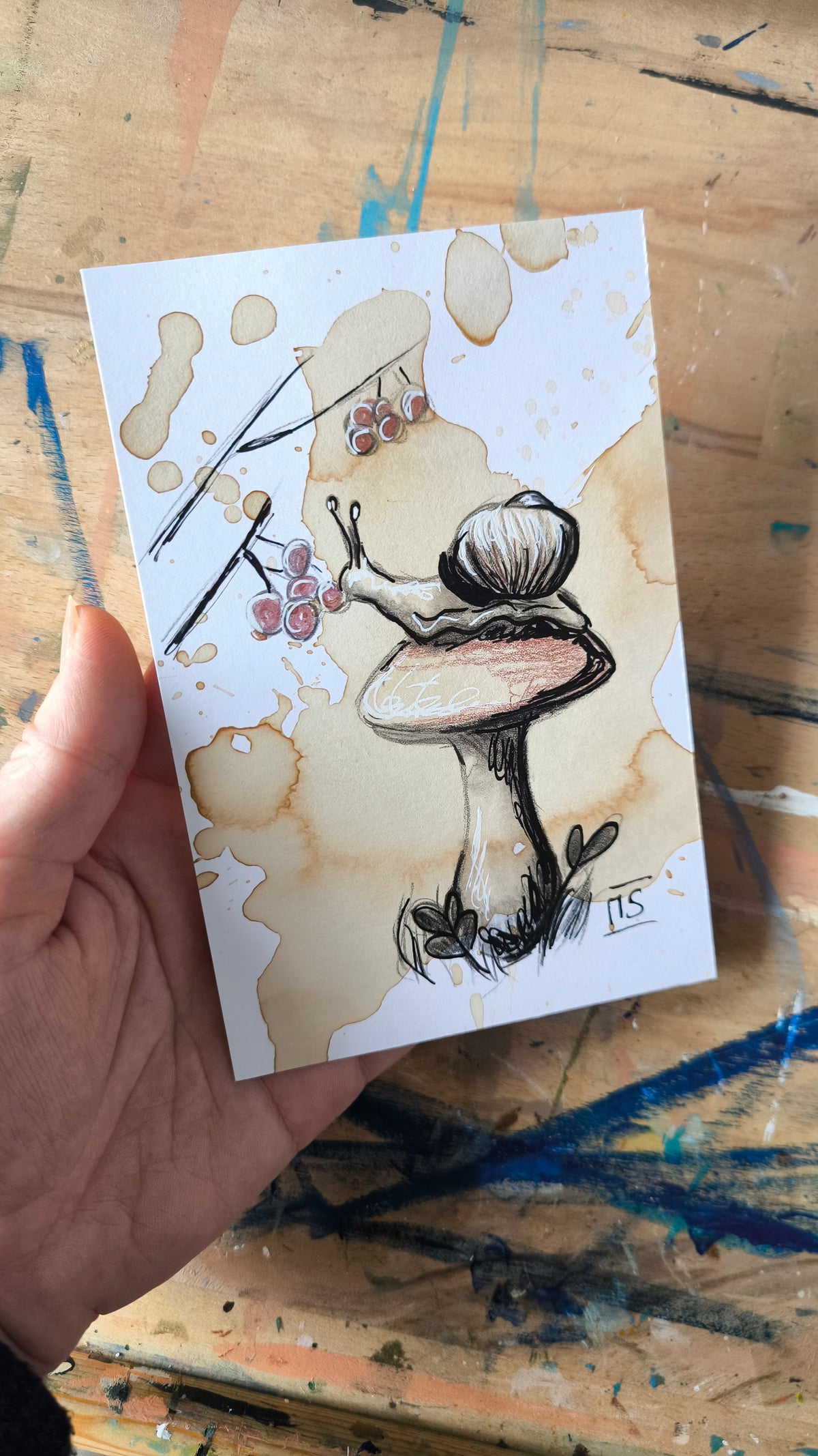 Kleine Schnecke