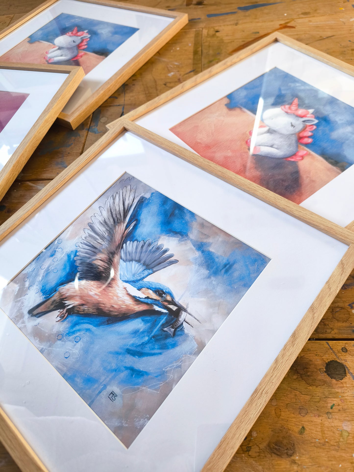Posterdruck Eisvogel