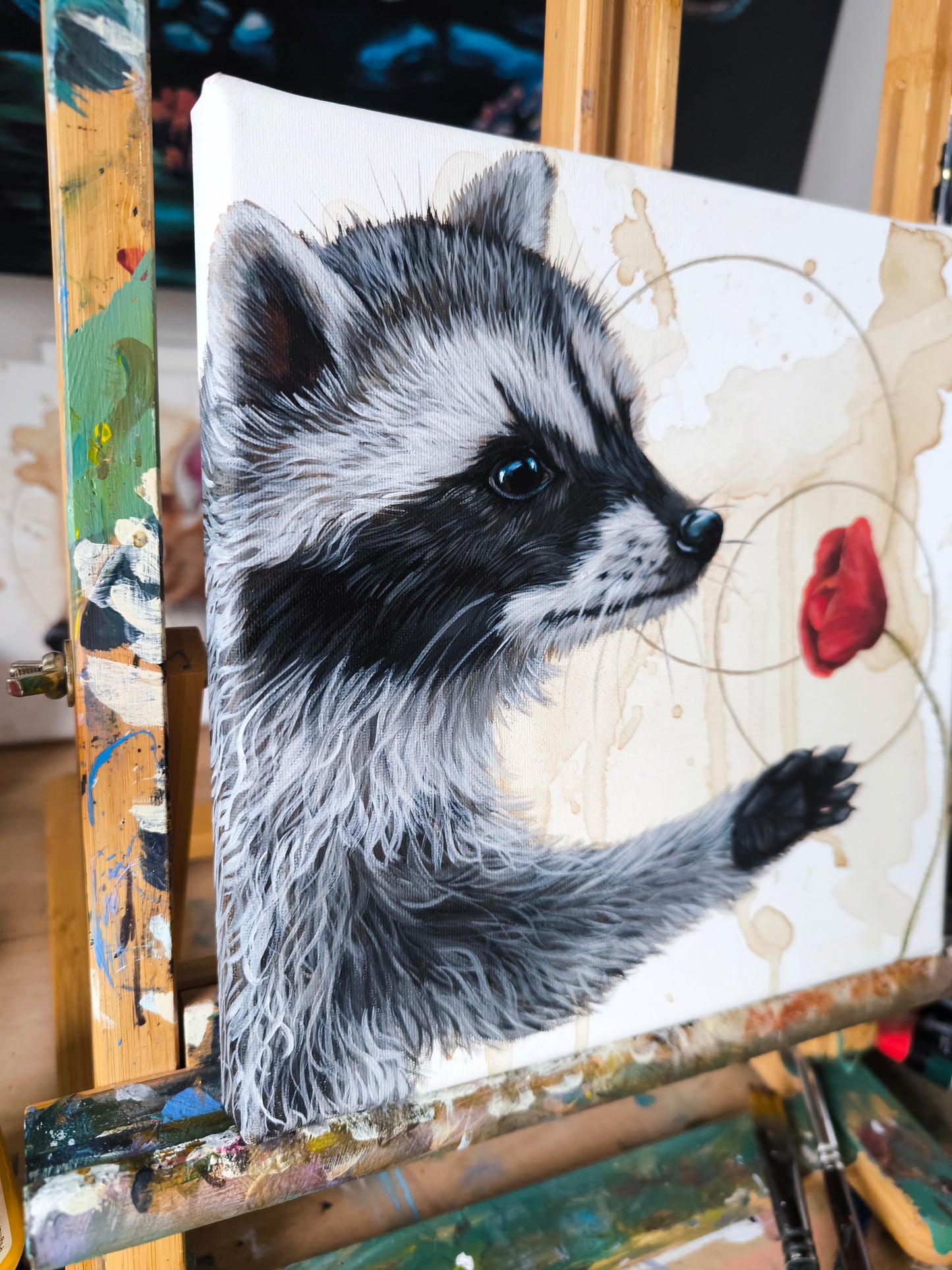 Verträumte Waschbär