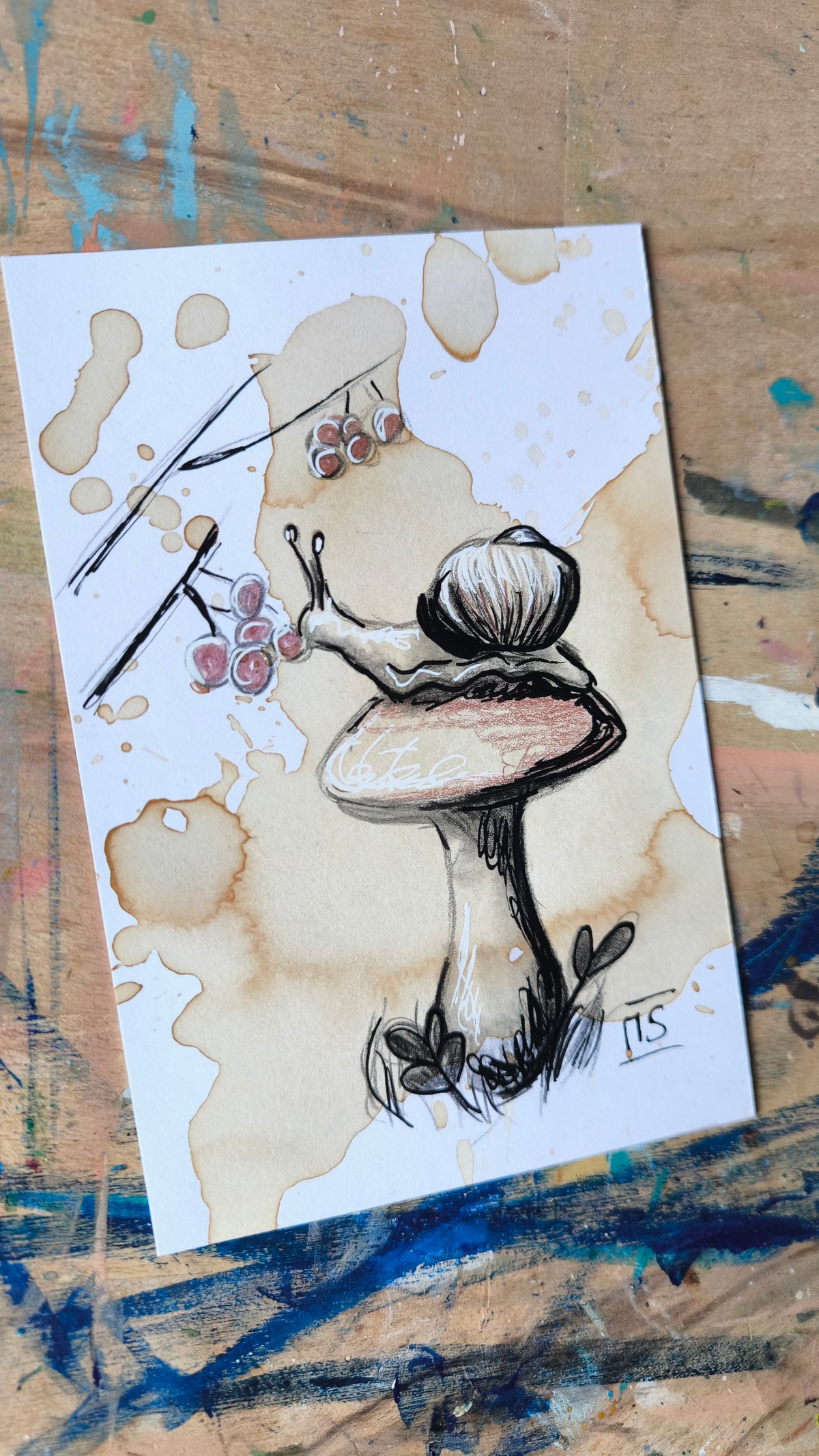 Kleine Schnecke