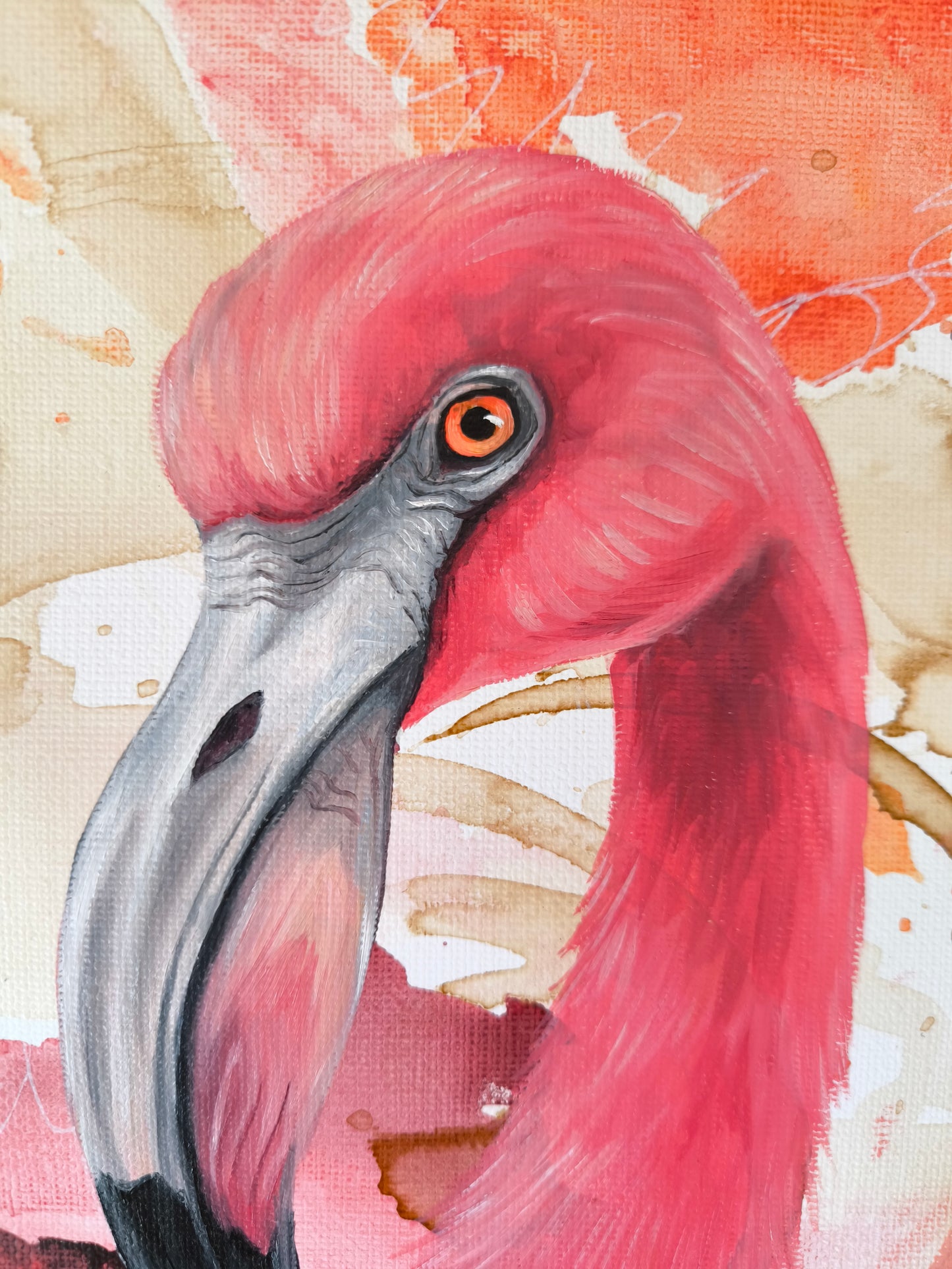 Flamingo