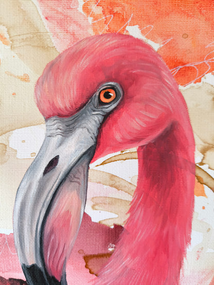 Flamingo