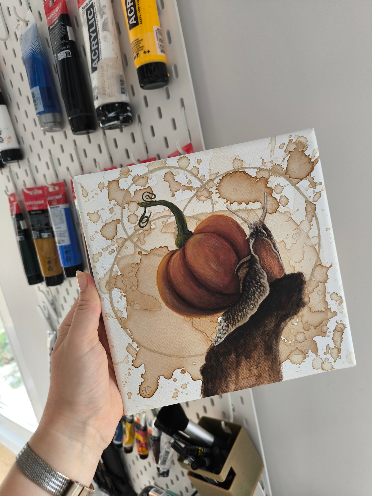 Die Kürbisschnecke