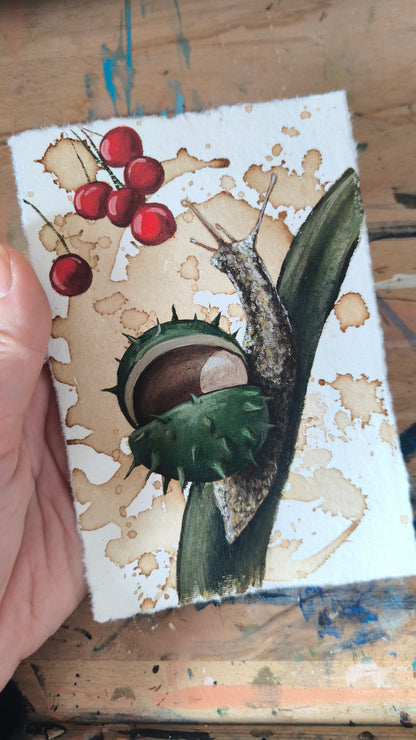 Die Kastanienschnecke