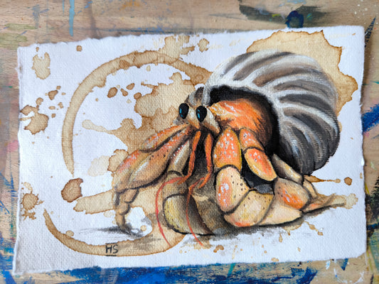 Kleiner Einsiedler