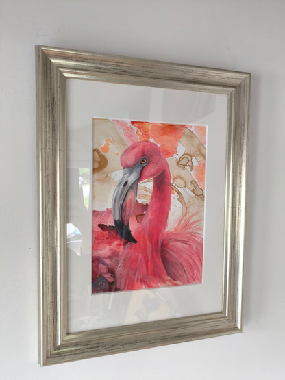Flamingo