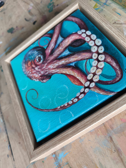Kleiner Oktopus