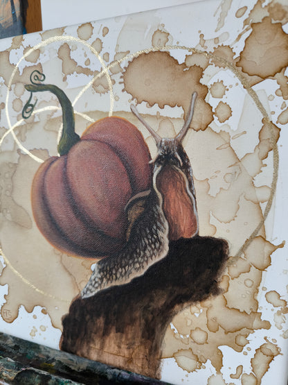 Die Kürbisschnecke
