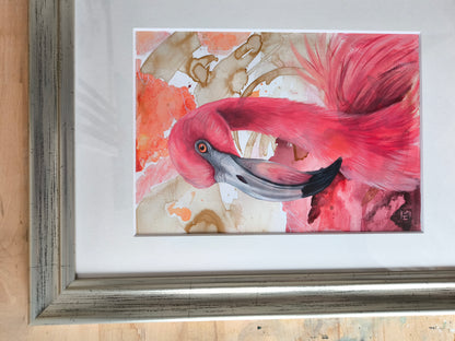 Flamingo
